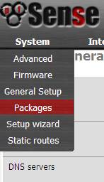 Accesing Pfsense Packges