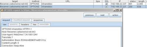 Burp Proxy New OPTIONS Request