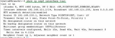 Vyatta Branch2 IPIP/IPsec: show ip ospf interface tun1