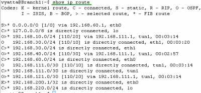 Vyatta Branch1 GRE/IPsec: Routing Table