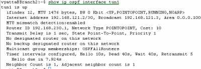 Vyatta Branch2 GRE/IPsec: show ip ospf interface tun1